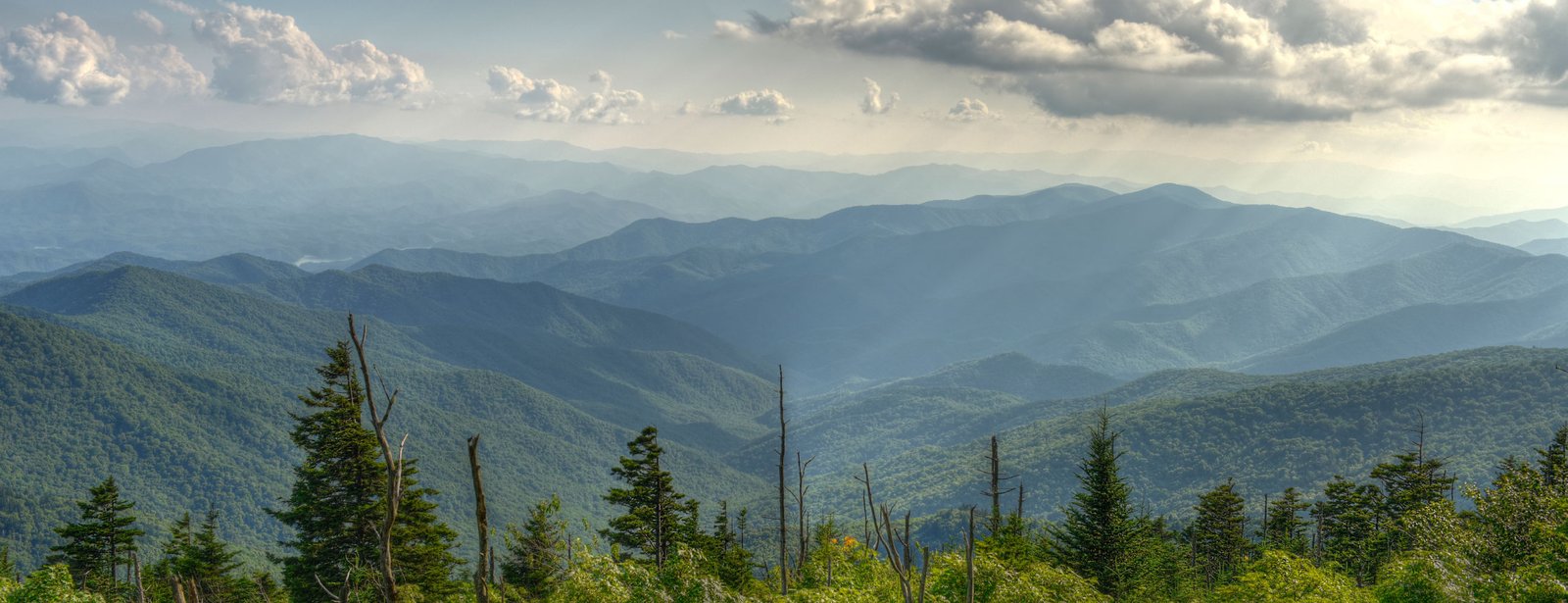 charles dalant charles dalant