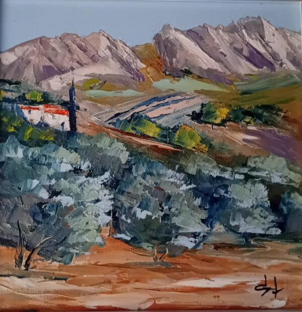 Oliveraie en Provence